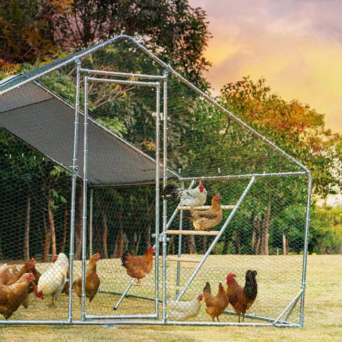 Petsfit rust-proof materials keep the roost sturdy through rain and sun.