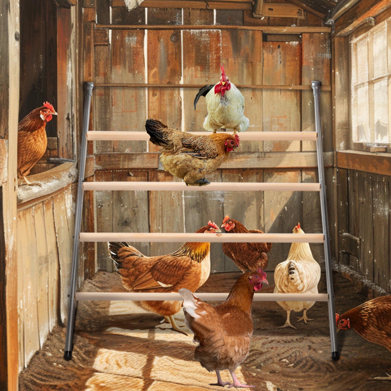 Petsfit smooth surface simplifies cleaning after a busy day in the coop.