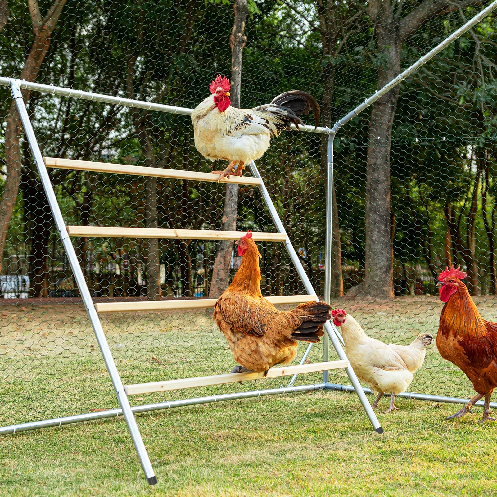 Petsfit square roosting bar base provides stable perching for flock comfort.