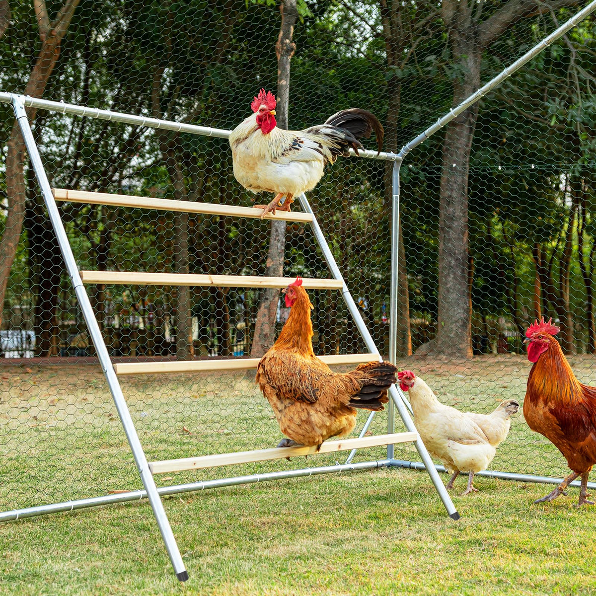 Petsfit square roosting bar base provides stable perching for flock comfort.