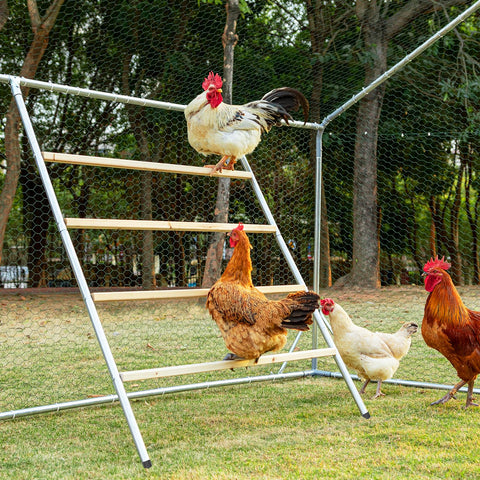 Petsfit square roosting bar base provides stable perching for flock comfort.