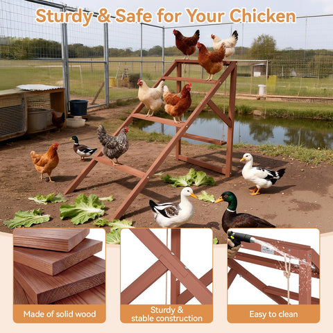 Petsfit weather-resistant fir wood resists sun and rain for durable use.