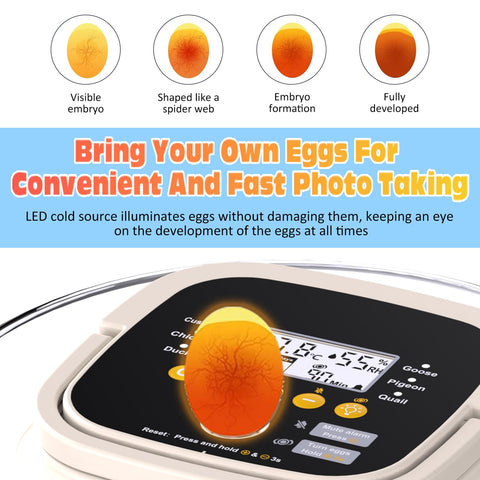 PETSFOND 18-egg incubator automatic turning for even heat distribution