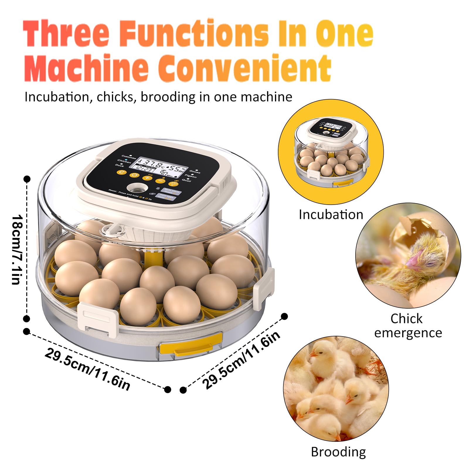 PETSFOND 18-egg incubator compact design fits small kitchens or workshops