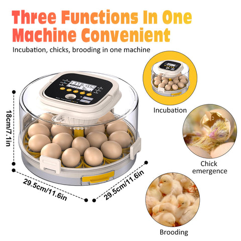 PETSFOND 18-egg incubator compact design fits small kitchens or workshops