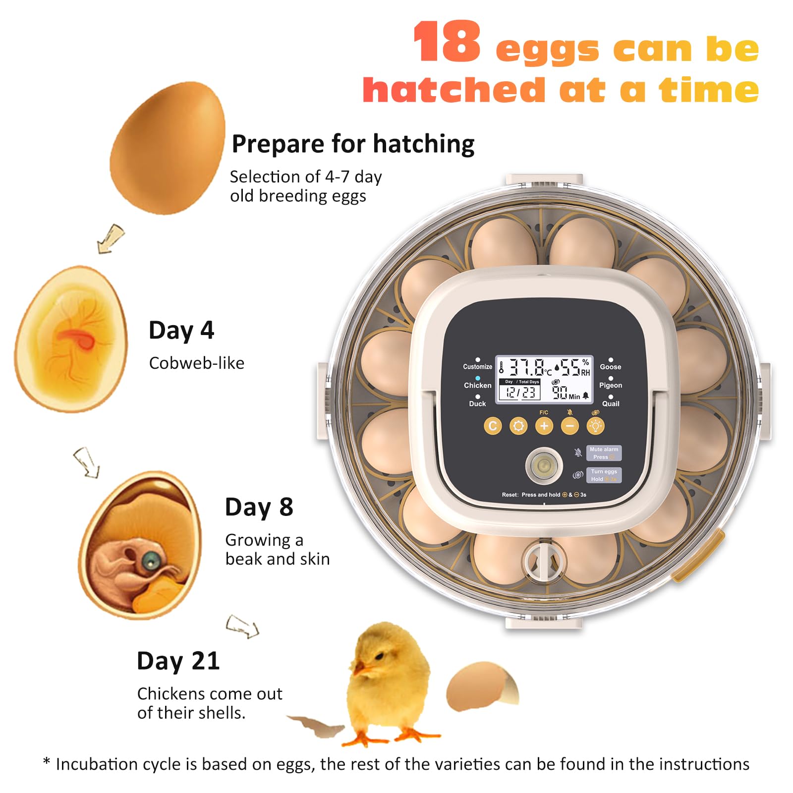 PETSFOND 18-egg incubator control panel enables easy automation setup
