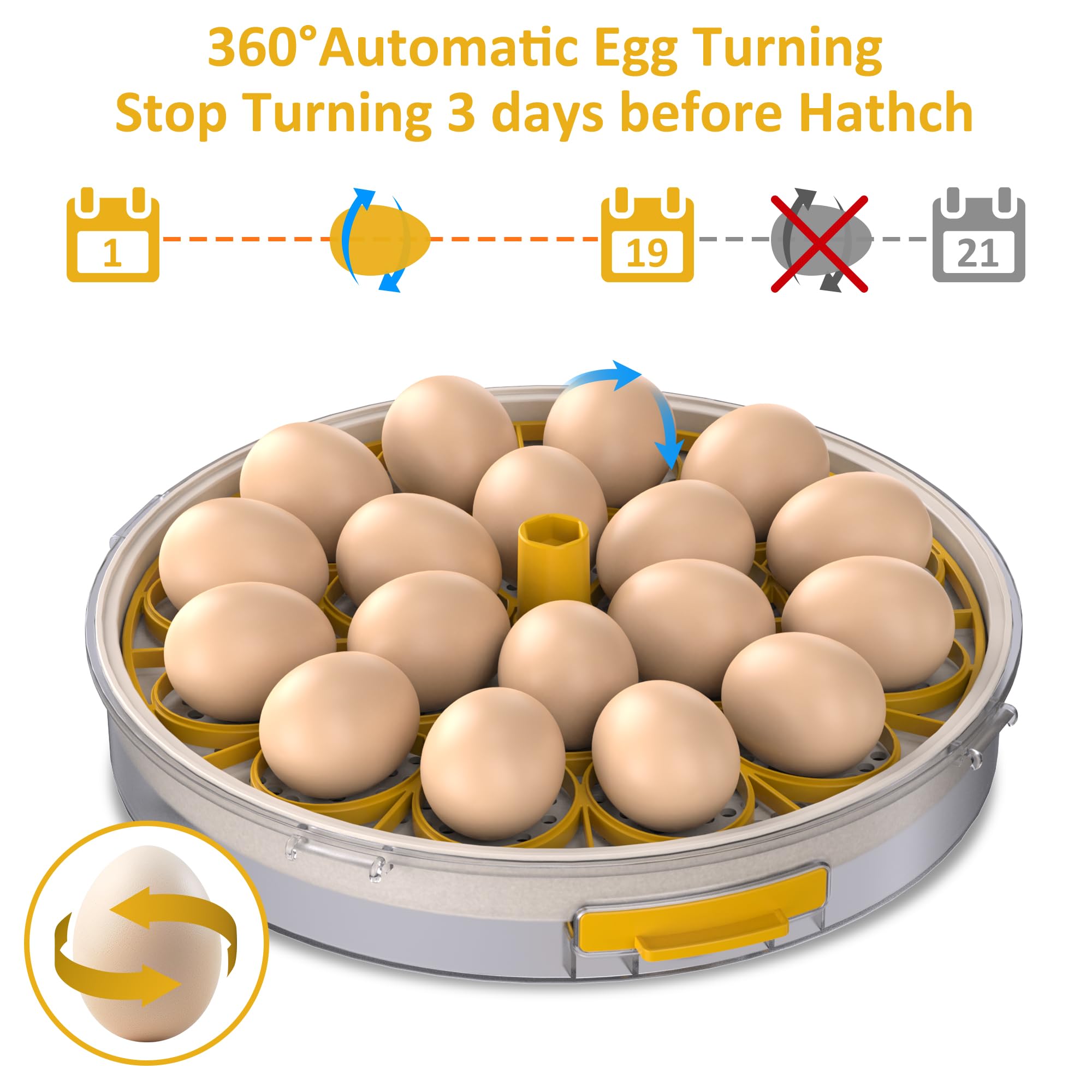 PETSFOND 18-egg incubator digital display for quick monitoring and adjustments