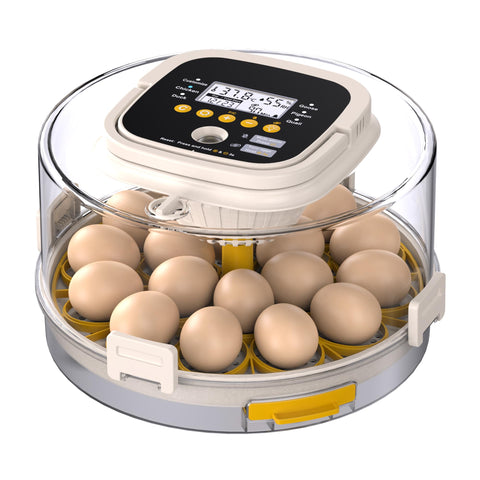 PETSFOND 18-egg incubator front view for compact home use and stable conditions