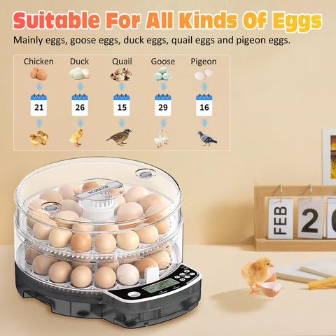 PETSFOND egg incubator automatic temp adjustment preserves ideal temperatures.
