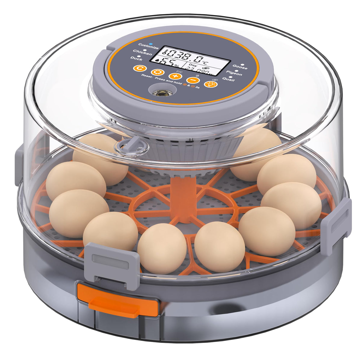 PETSFOND egg incubator automatic turning demonstrates even heat distribution for reliable hatch