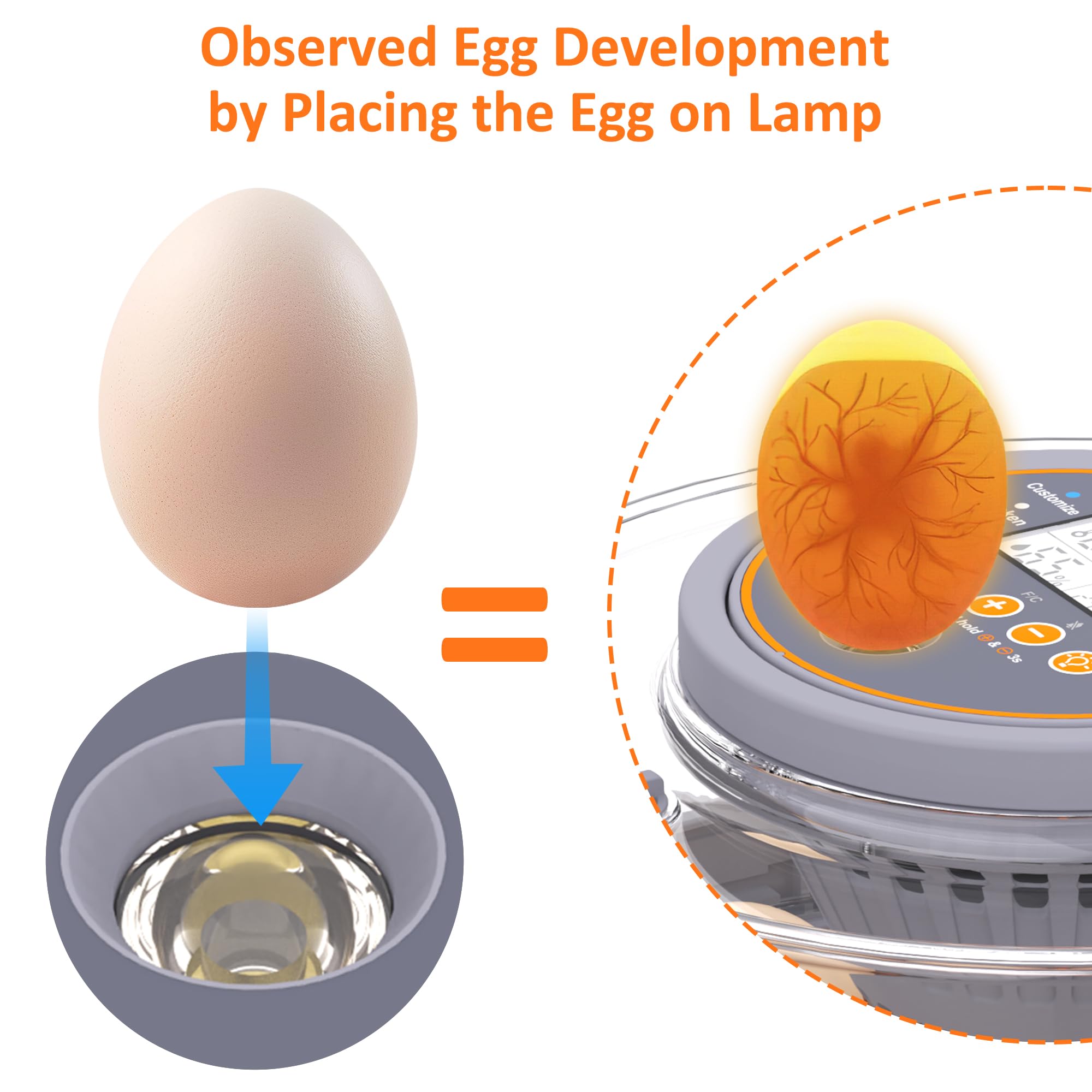 PETSFOND egg incubator digital-control-panel simplifies setup and monitoring