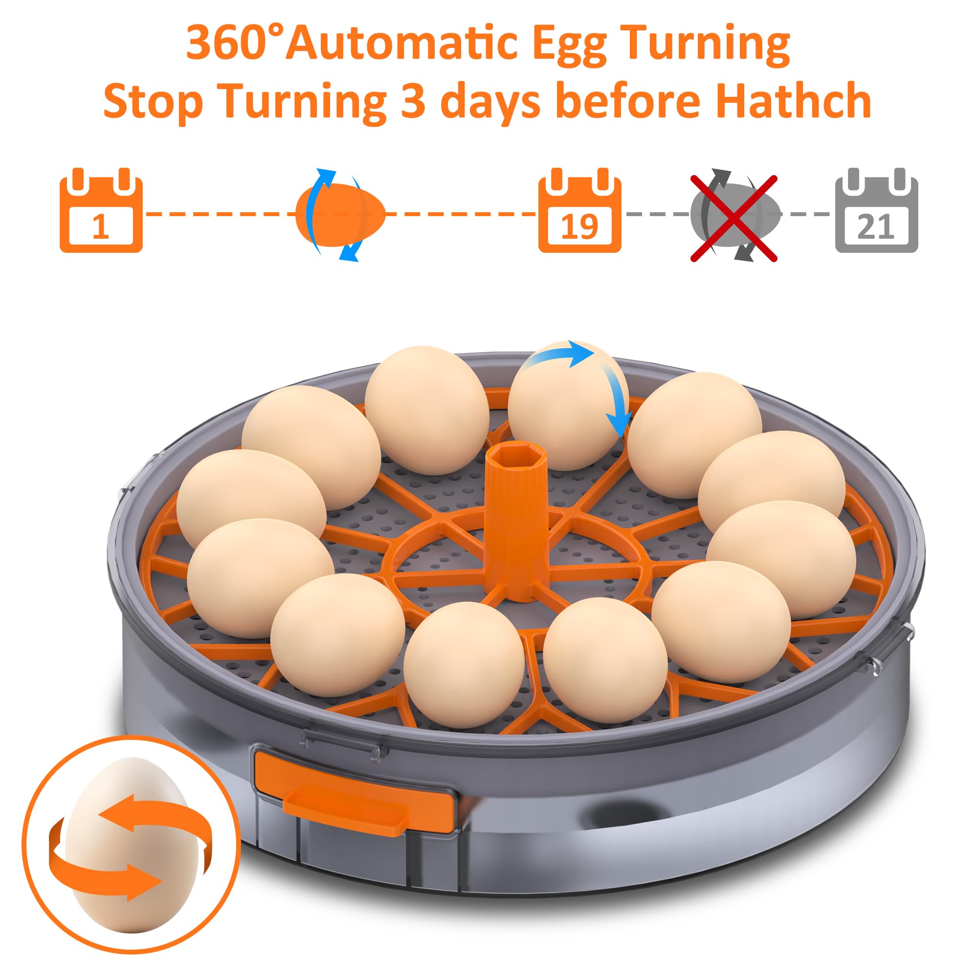 PETSFOND egg incubator observation-lamp allows progress checks without opening