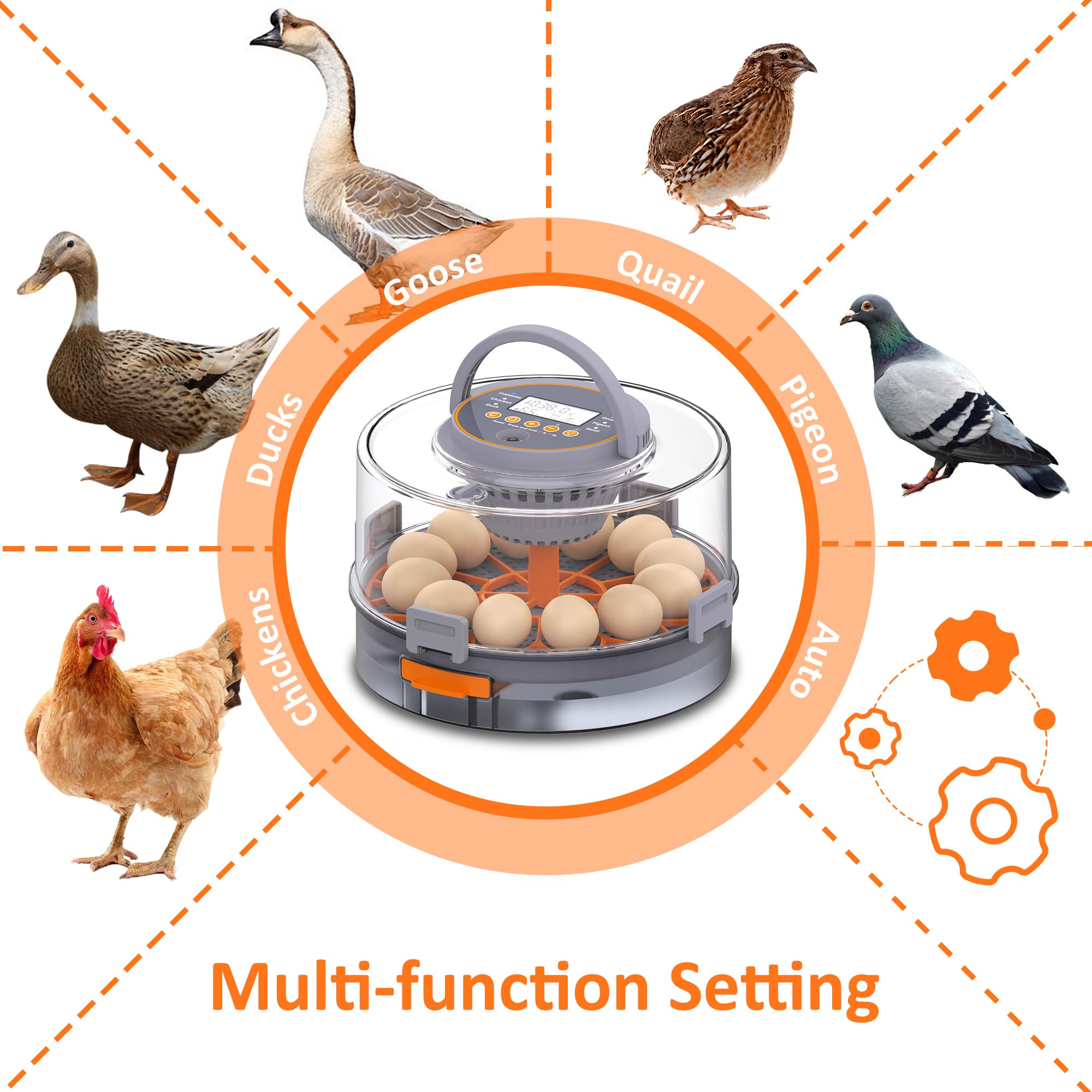 PETSFOND egg incubator five-mode-intelligent-control adapts to different egg types