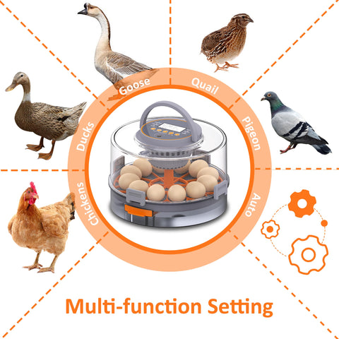PETSFOND egg incubator five-mode-intelligent-control adapts to different egg types