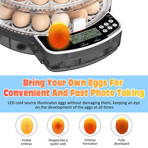 PETSFOND egg incubator humidity control maintains stable incubation environment.