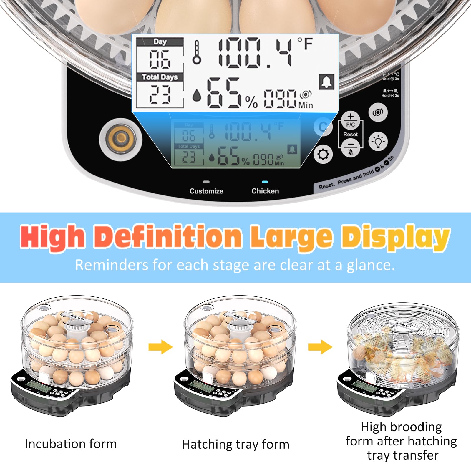 PETSFOND lamp observation lets you monitor eggs without opening the chamber.