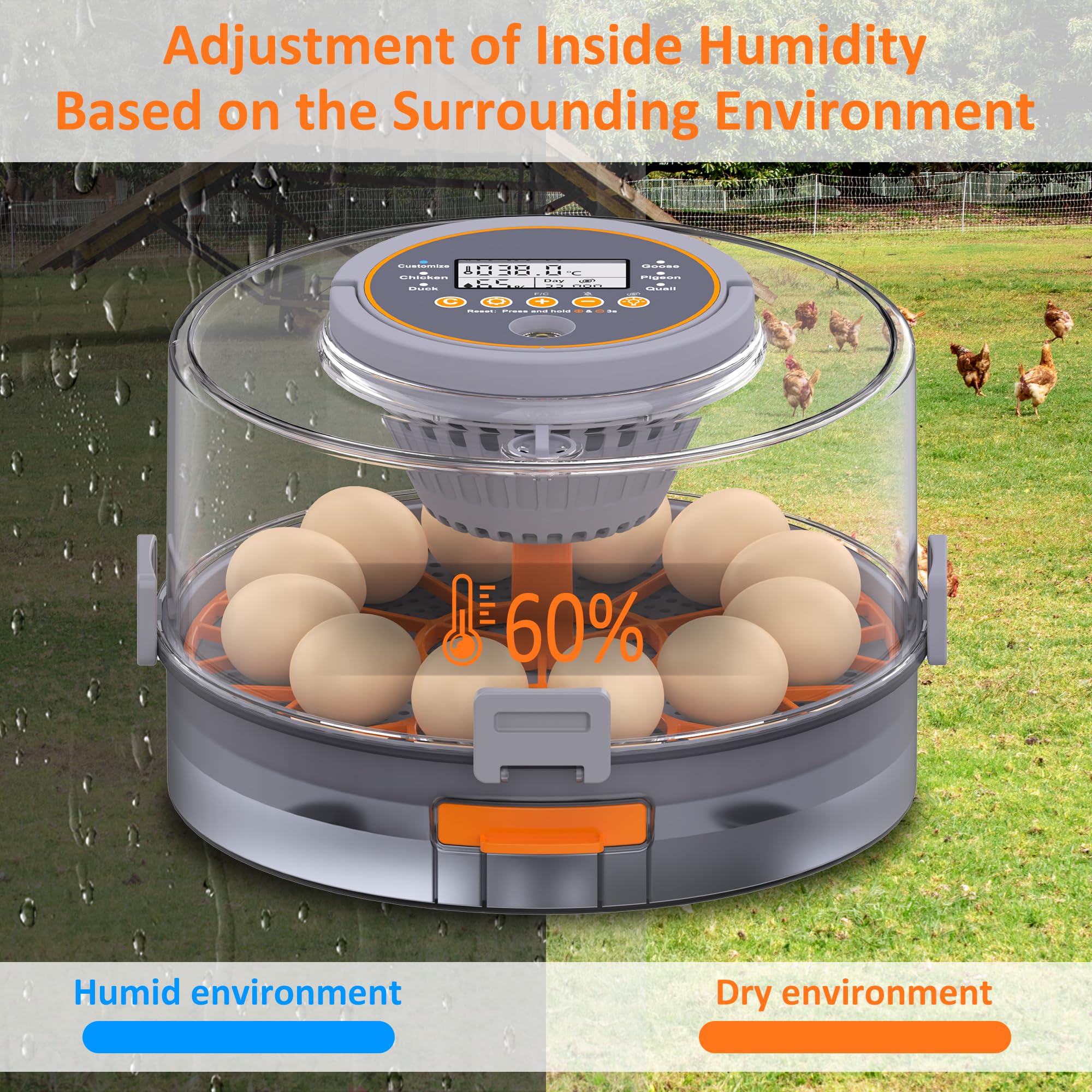 PETSFOND egg incubator temperature-adjustment maintains ideal warmth for diverse eggs