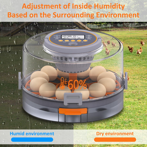 PETSFOND egg incubator temperature-adjustment maintains ideal warmth for diverse eggs
