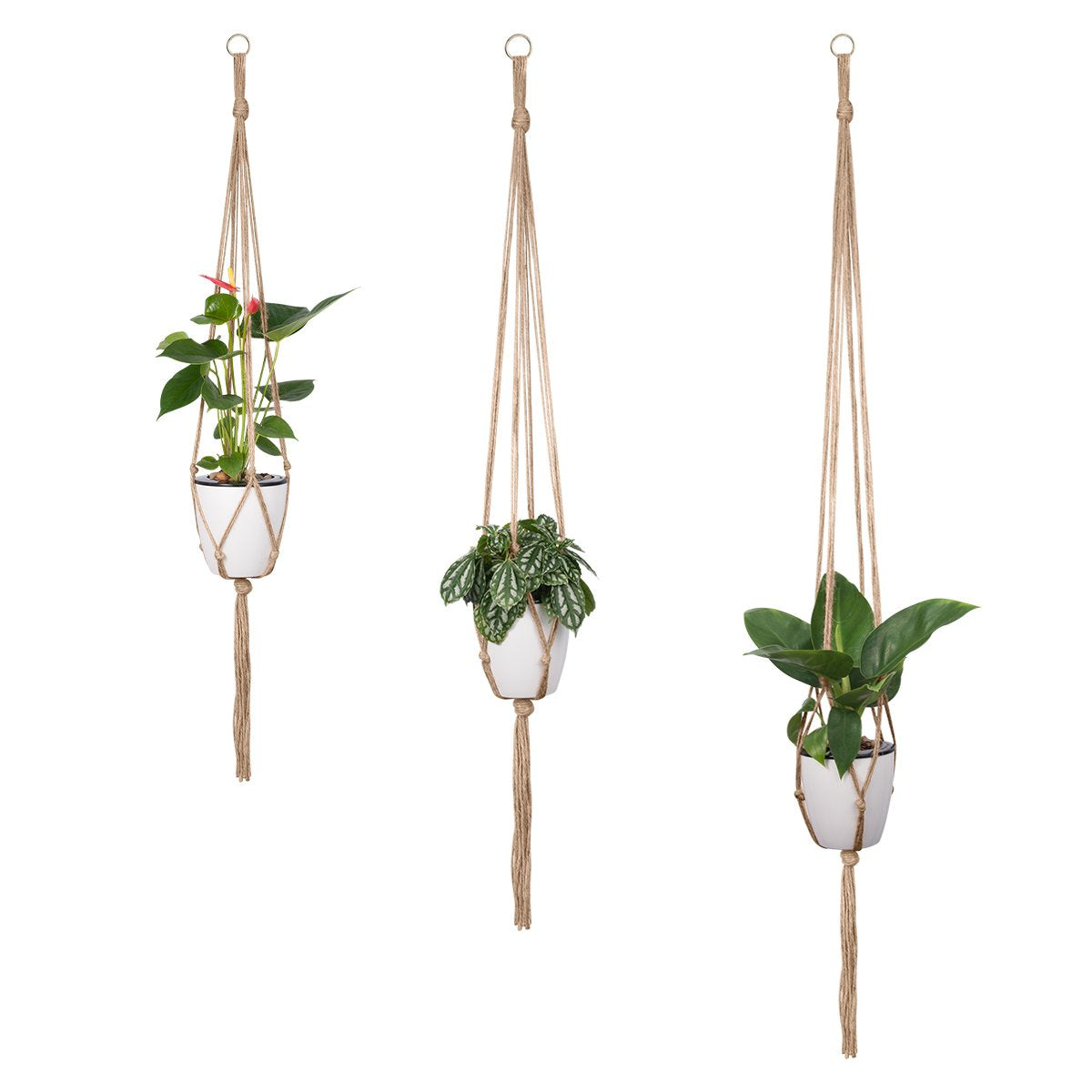 Petutu fits pots from 5.9 to 7.8 inches for versatility.