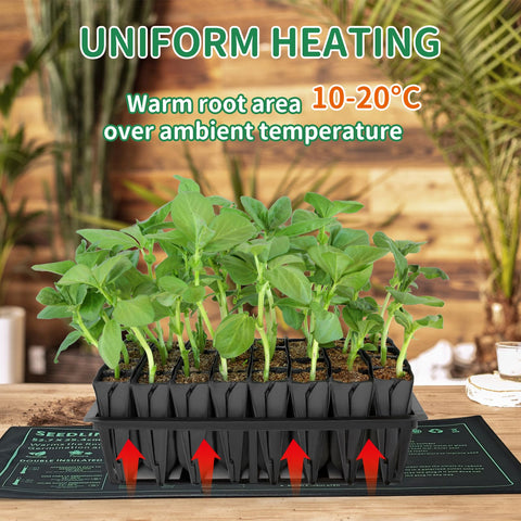 Petzooka ideal for greenhouse germination and indoor seed starting