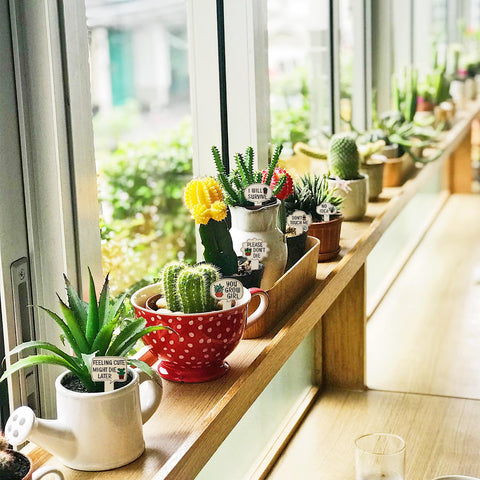 PEUTIER housewarming gift wood markers for plant lovers