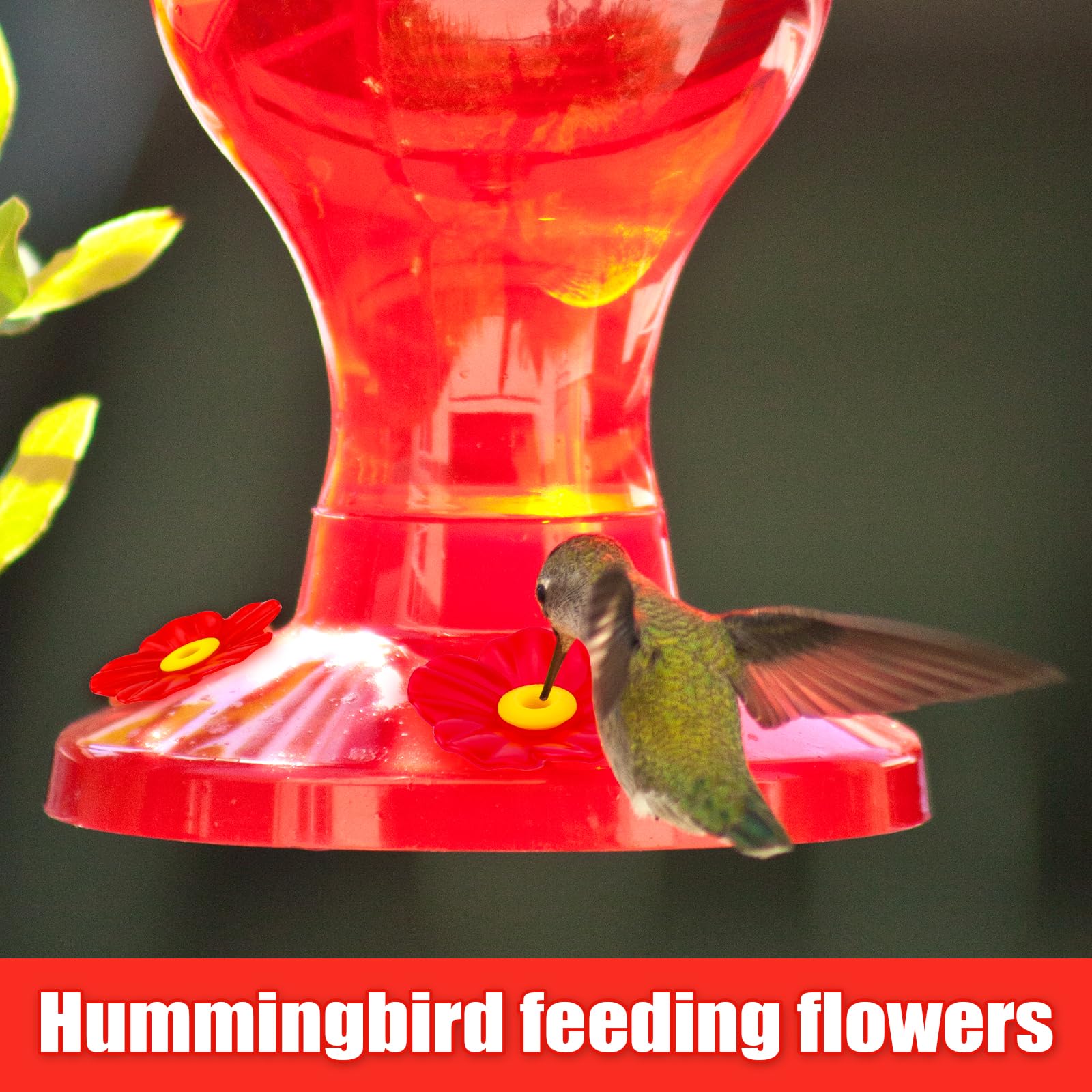 PEUTIER replacement flowers attract hummingbirds during outdoor feeding.