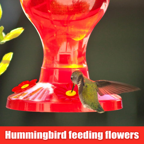 PEUTIER replacement flowers attract hummingbirds during outdoor feeding.