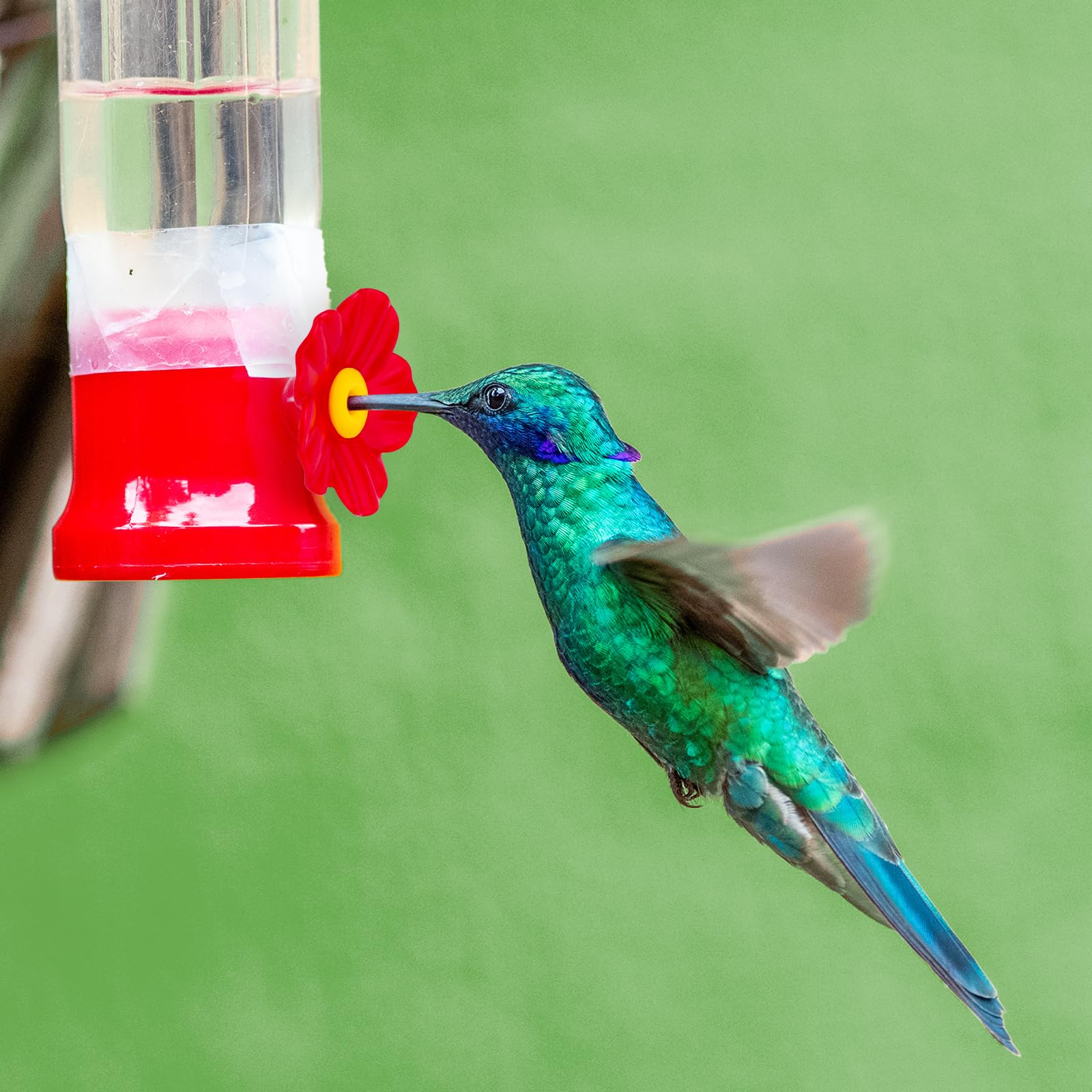 PEUTIER replacement flowers fit most feeders for outdoor use.