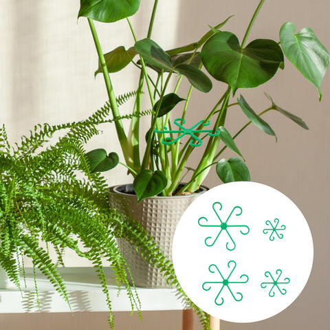 PEUTIER indoor Monstera four-piece stake set in green plastic.