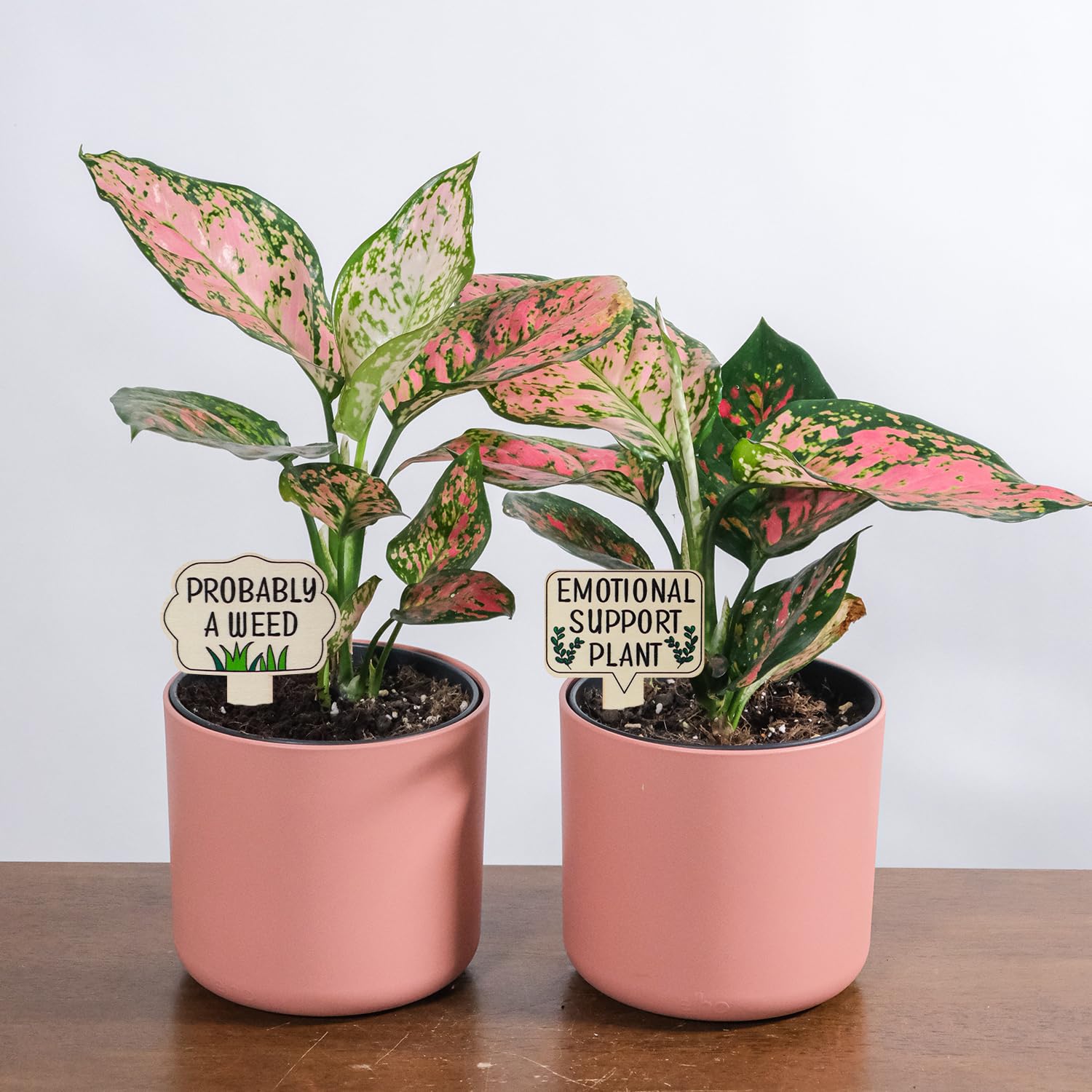 PEUTIER outdoor indoor garden tags complement any décor