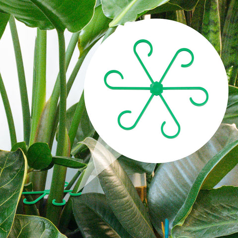 PEUTIER 5.8 cm plant stem support for small shoots.