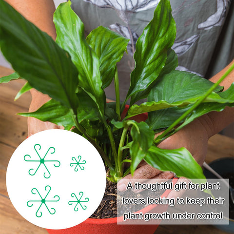 PEUTIER plant trellis clip demonstrates versatile stabilization option.