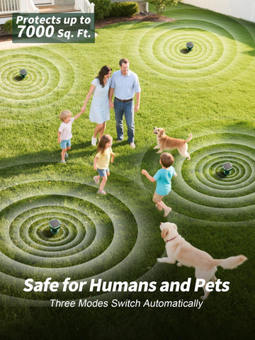 Graphic illustrating Pexpel seismic pulses and pest deterrence