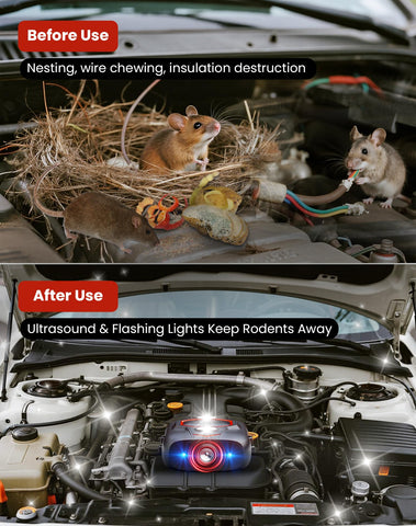 PEXPEL engine hardwired option provides continuous protection