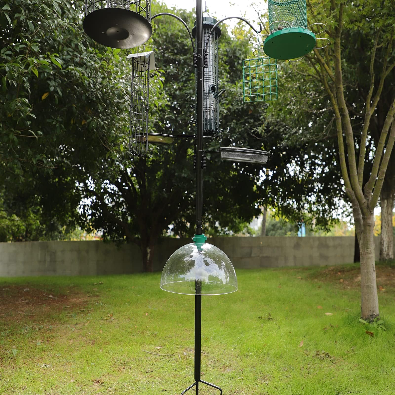 PFNRTH Clear dome keeps birds safe and seeds dry