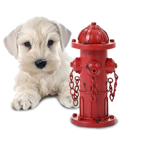 Phaxth fire hydrant dog potty outdoors demonstrates a sturdy training cue for puppies.