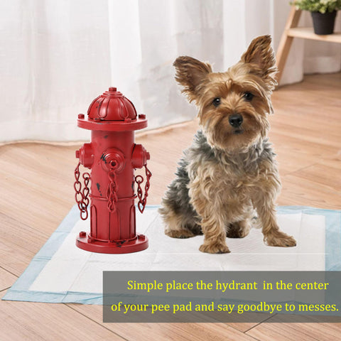 Phaxth fire hydrant praise-spot offers a reliable potty cue for dogs.