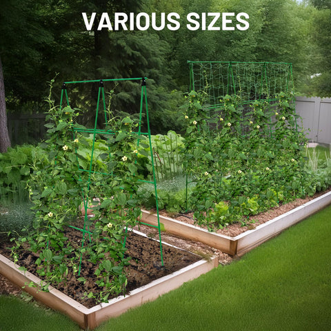 PHENEAHILL garden trellis improves harvest efficiency and organization.