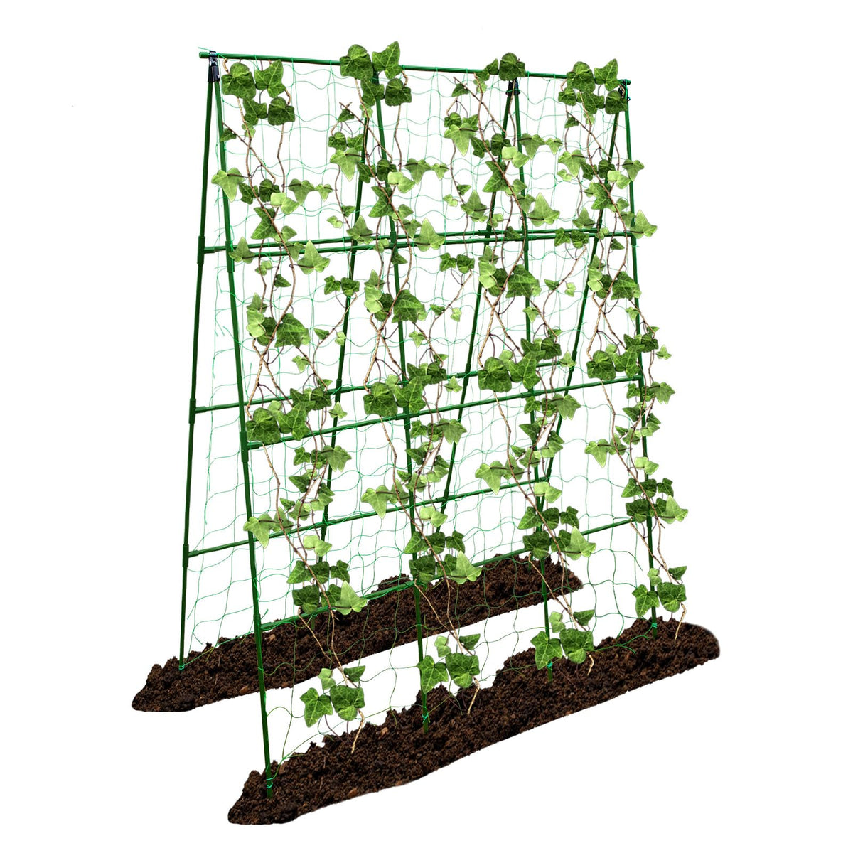PHENEAHILL large A-frame trellis supports tomatoes and cucumbers for vertical growth.
