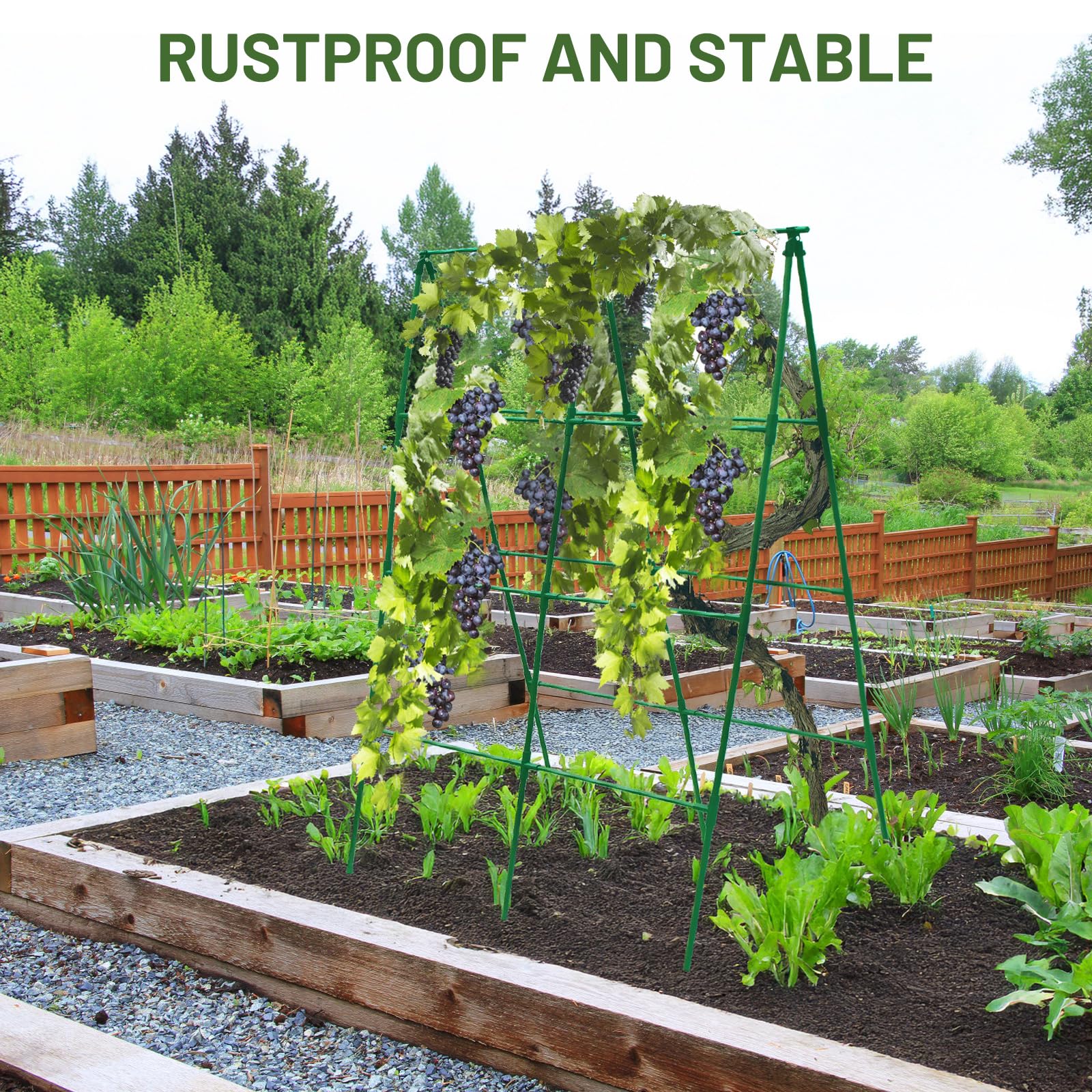 PHENEAHILL 47.5 by 63 inch frame fits raised beds well.