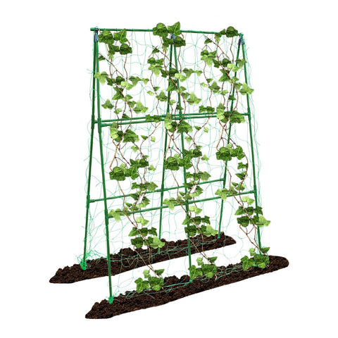 PHENEAHILL compact A-frame trellis close-up demonstrates easy assembly for peas and beans.