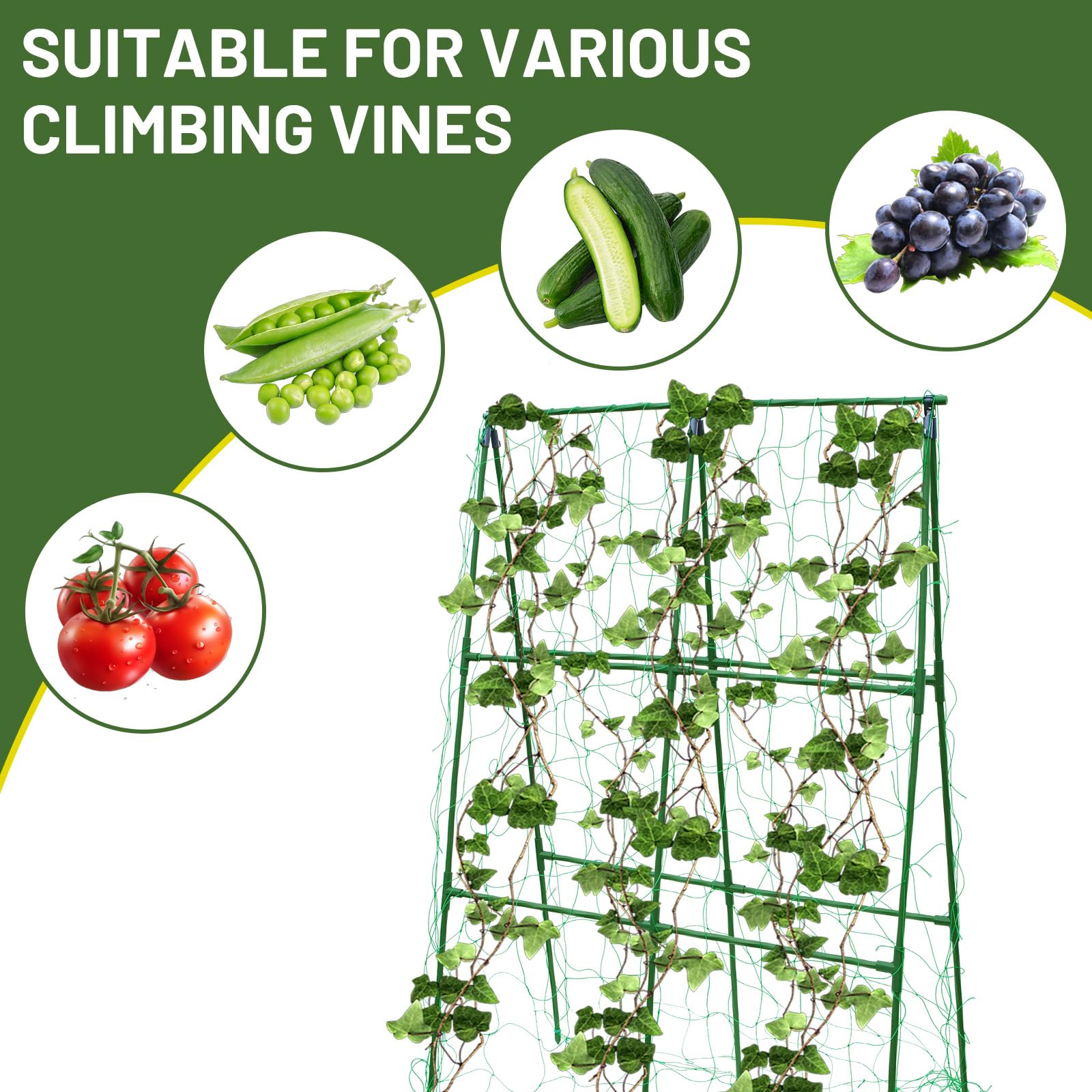 PHENEAHILL trellis used in container garden to maximize small-space growing.
