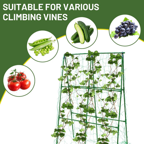 PHENEAHILL trellis used in container garden to maximize small-space growing.