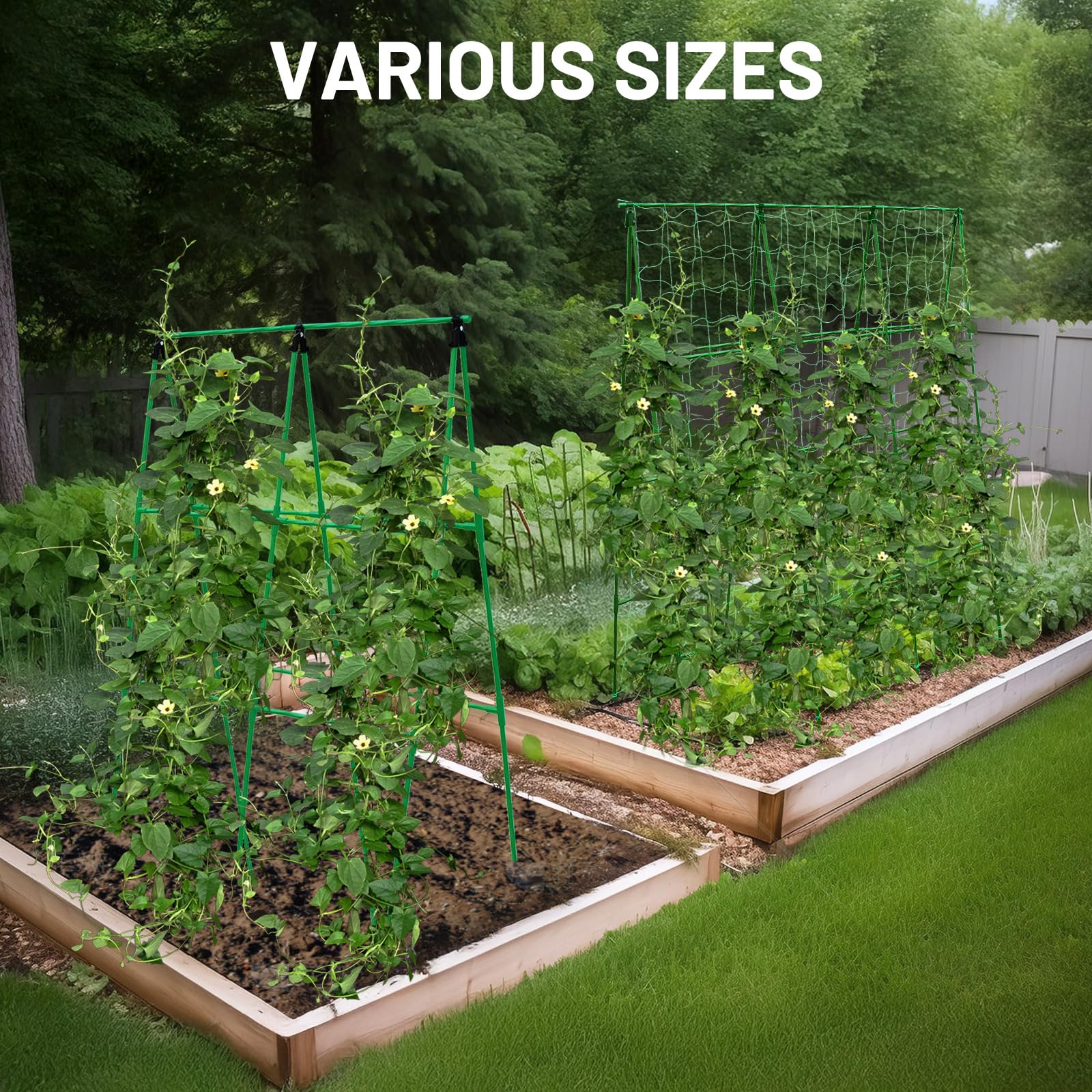 PHENEAHILL trellis on balcony or patio aids compact gardening.