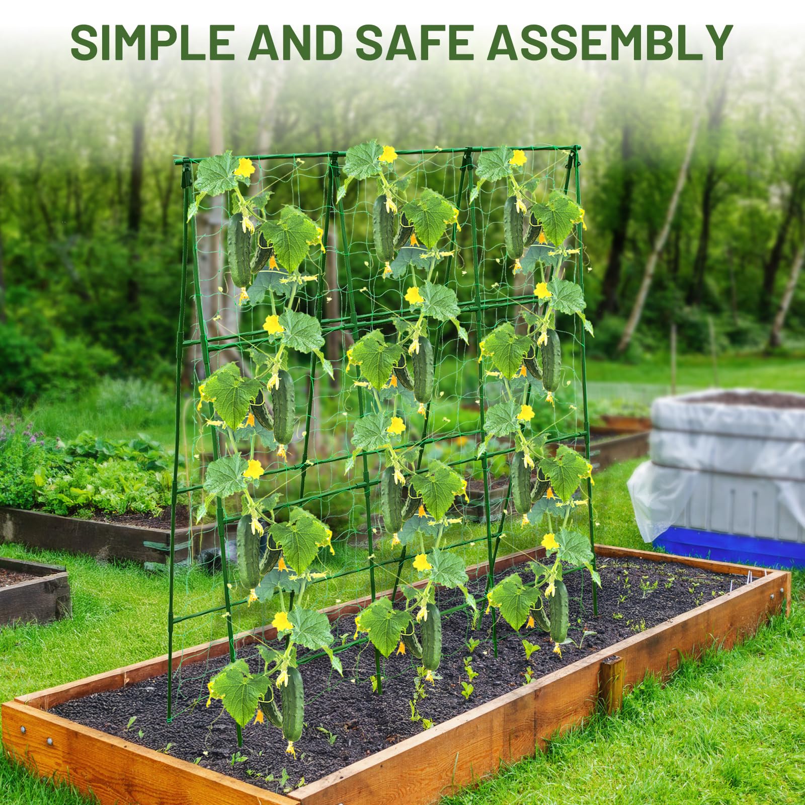 PHENEAHILL trellis supports peas and beans, keeping vines neatly off soil.