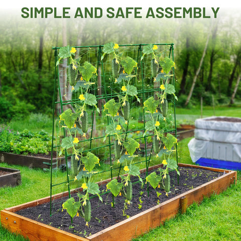 PHENEAHILL trellis supports peas and beans, keeping vines neatly off soil.