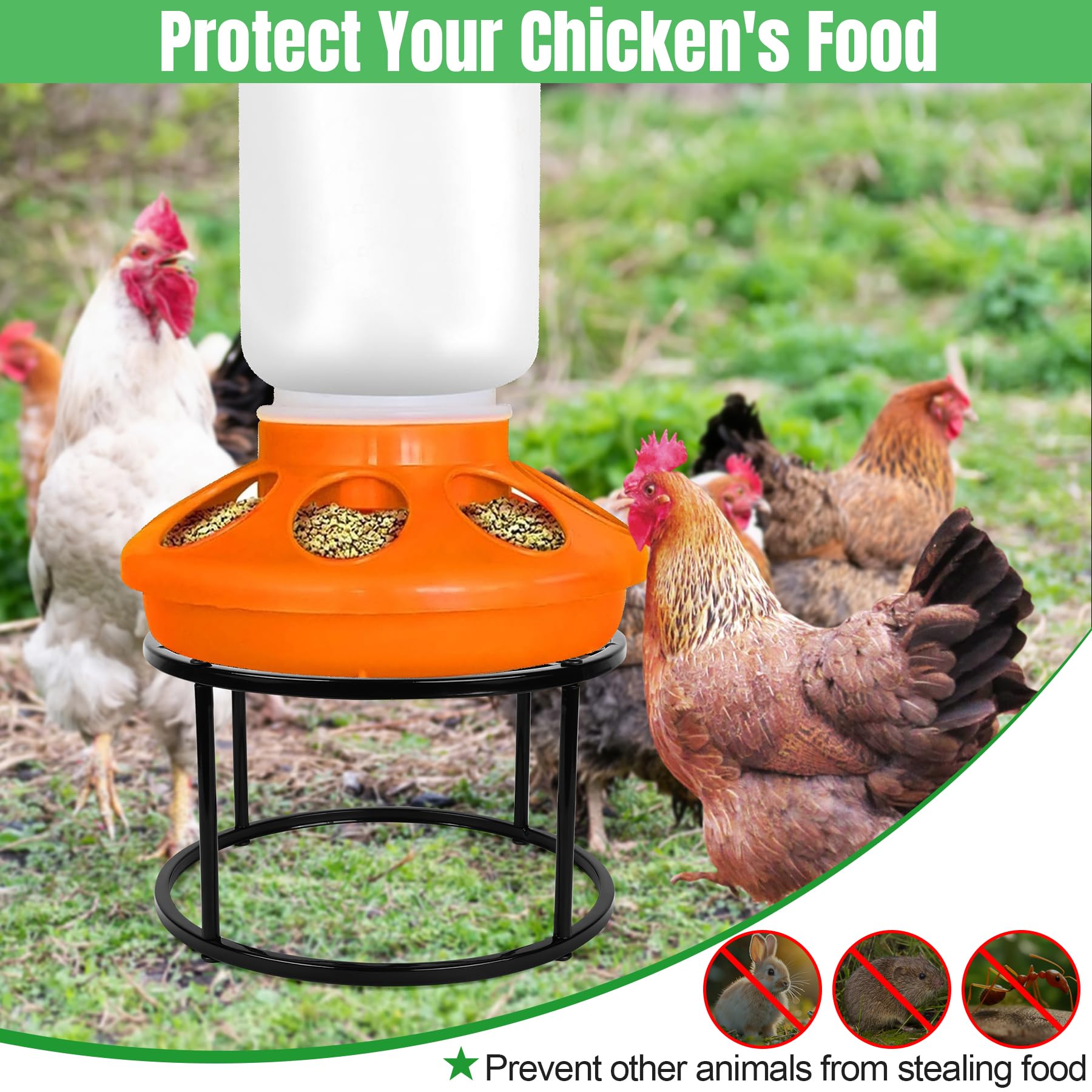 Phepetroll cute rooster design stand adding charm while protecting feed
