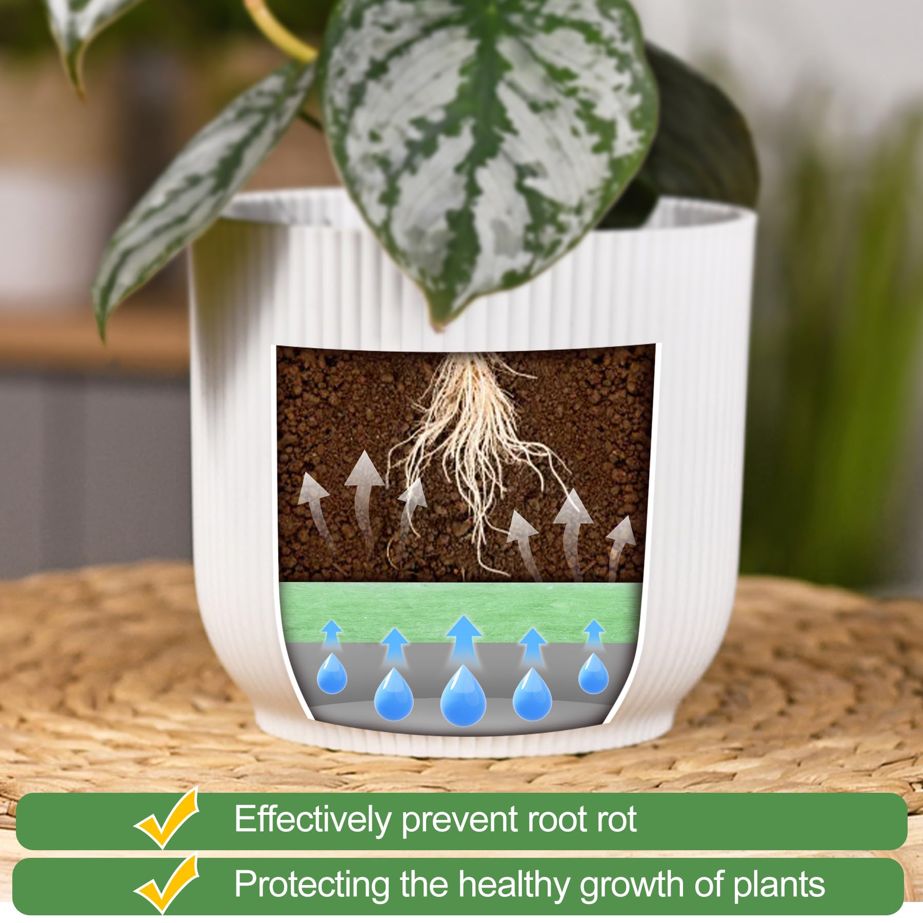 Phepetroll 2pc bottom pad reduces pot weight for easy maintenance.
