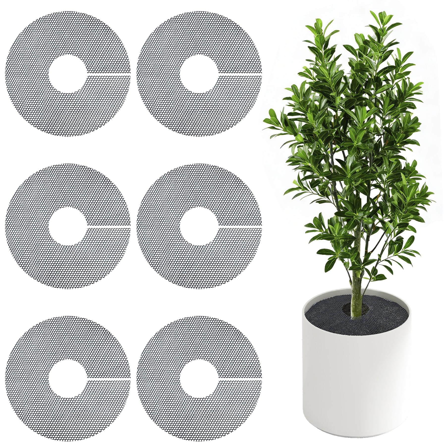 phepetroll plant pot grid protecting indoor plants from pets while keeping soil in place