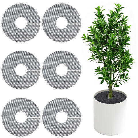 phepetroll plant pot grid protecting indoor plants from pets while keeping soil in place